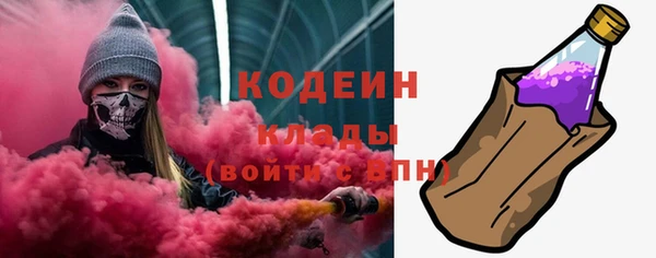 крисы Ростов