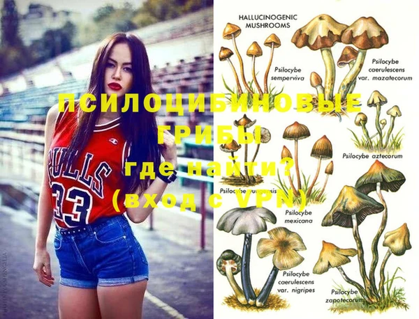 2c-b Зеленокумск