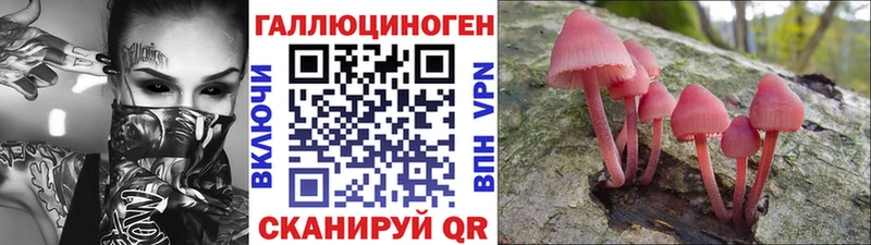 МЕГА ONION  Северобайкальск  Псилоцибиновые грибы Magic Shrooms 