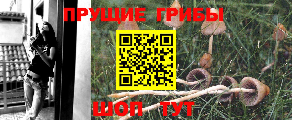Галлюциногенные грибы MAGIC MUSHROOMS Северобайкальск