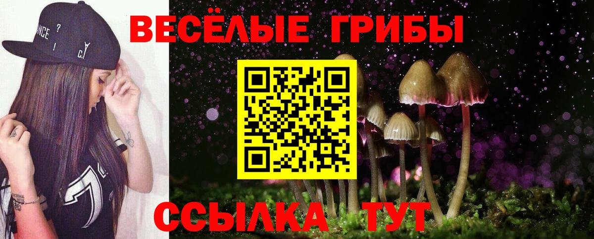 Галлюциногенные грибы Psilocybe  Северобайкальск 