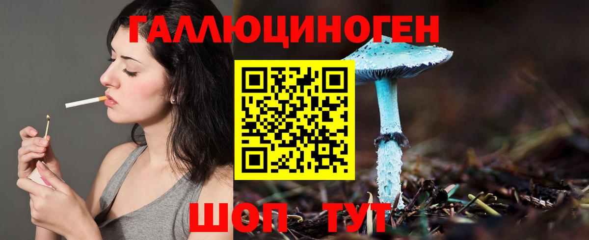 Северобайкальск  Псилоцибиновые грибы ЛСД  где можно купить   Вход с VPN 